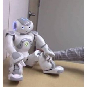 Study Finds Humans Aroused by Touching Robots' Intimate Areas