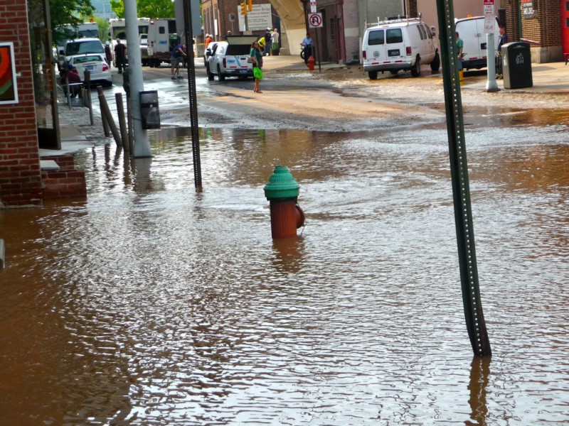 Manayunk wednesday deals