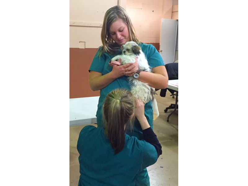 Baker College adds vet assistant program to fall roster | New ...