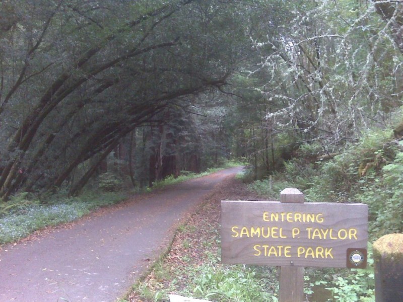 Bolinas Ridge and Cross Marin Trail | Patch