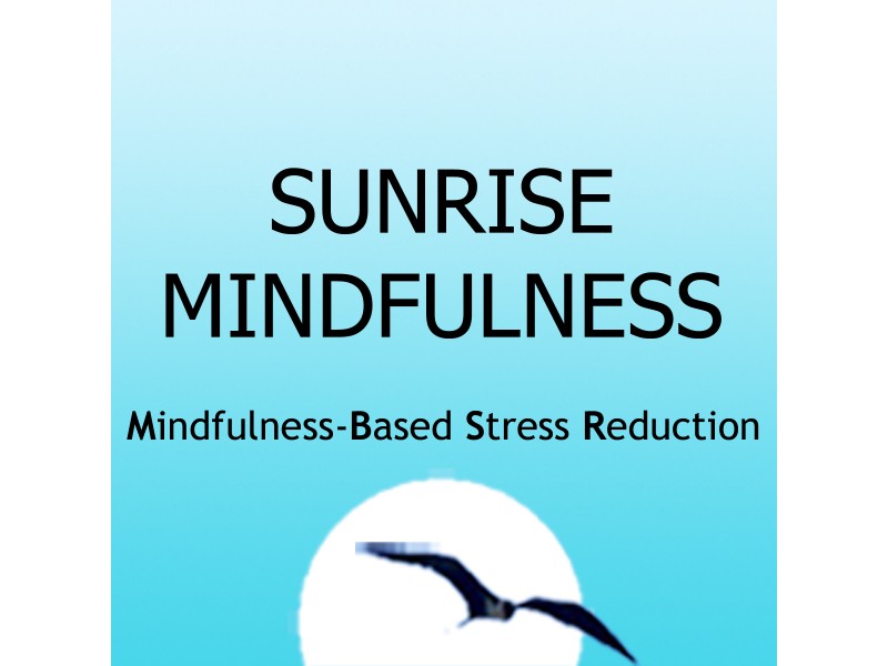 FREE Mindfulness-Based Stress Reduction (MBSR) Orientation...