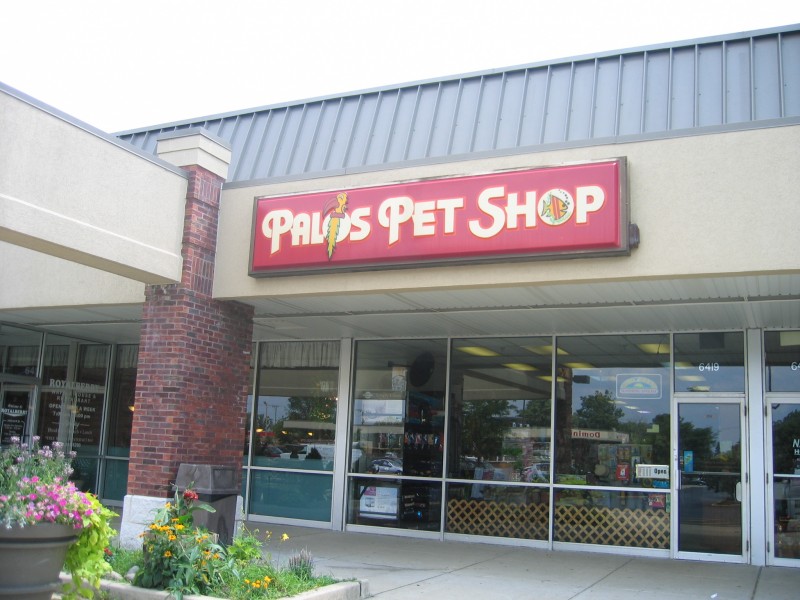 palos pet shop still going strong after 39 years patch palos pet shop still going strong after 39 years patch