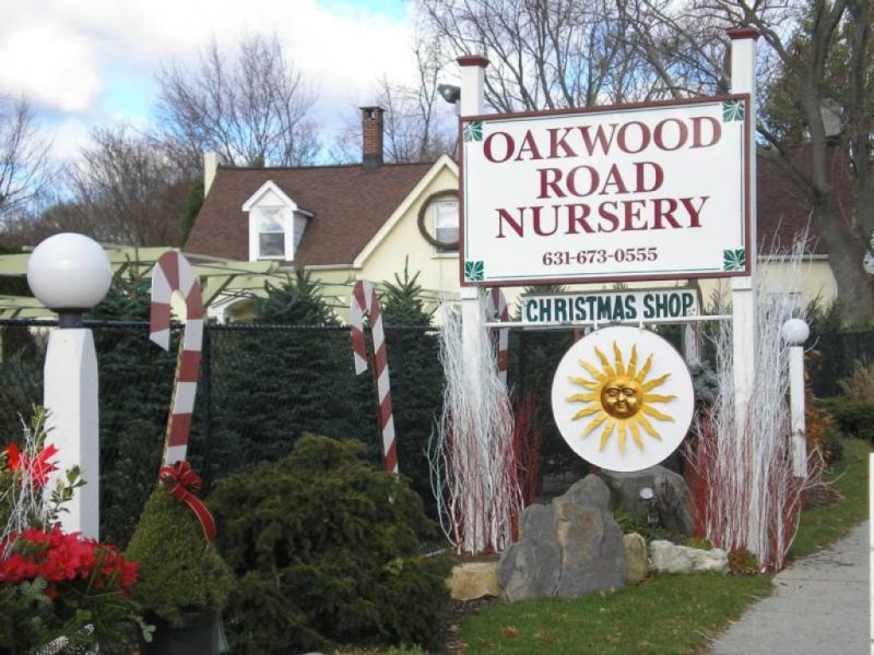 tree sales in full swing locally patch tree sales in full swing locally patch