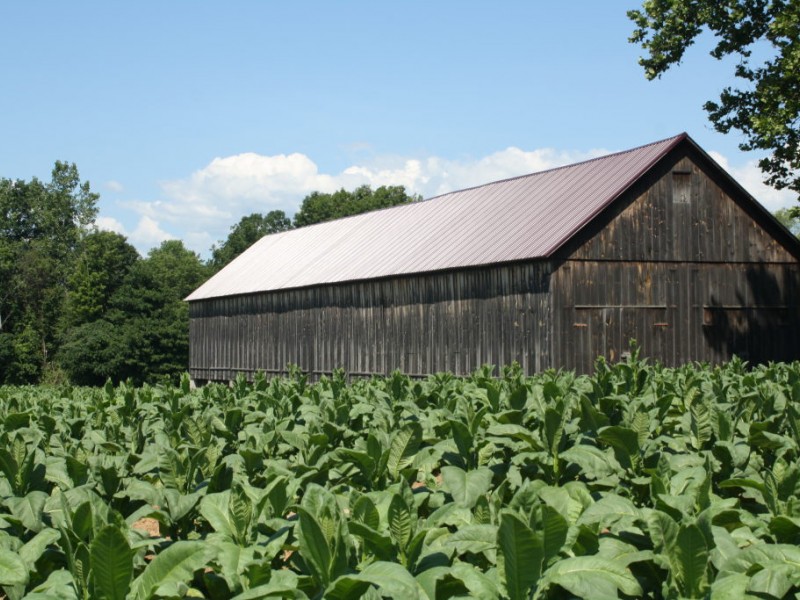 Windy Acre Farm Carries on a Suffield Tradition Suffield, CT Patch