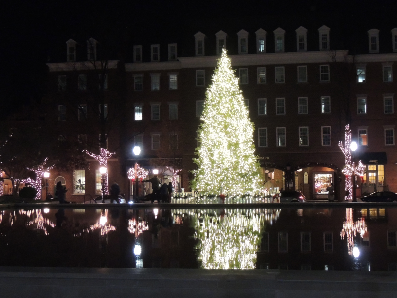 how to recycle your christmas tree in alexandria patch how to recycle your christmas tree in alexandria patch