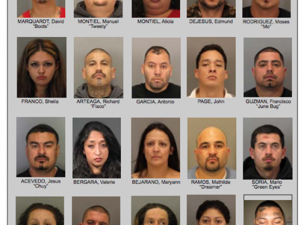 48 gangsters arrested names released los altos ca patch 48 gangsters arrested names released los altos ca patch