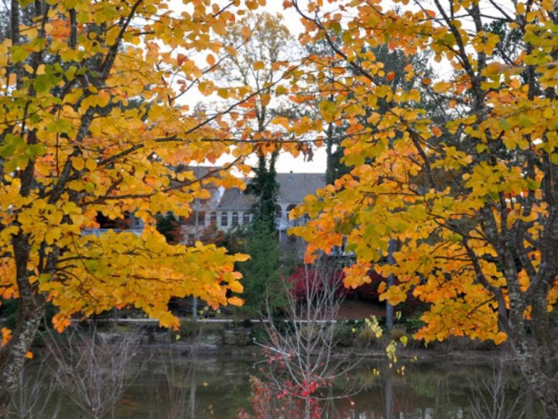 Vines Gardens in Loganville Reopens to the Public Loganville, GA Patch