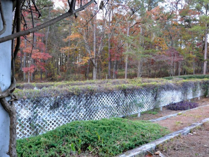 Vines Gardens in Loganville Reopens to the Public Loganville, GA Patch