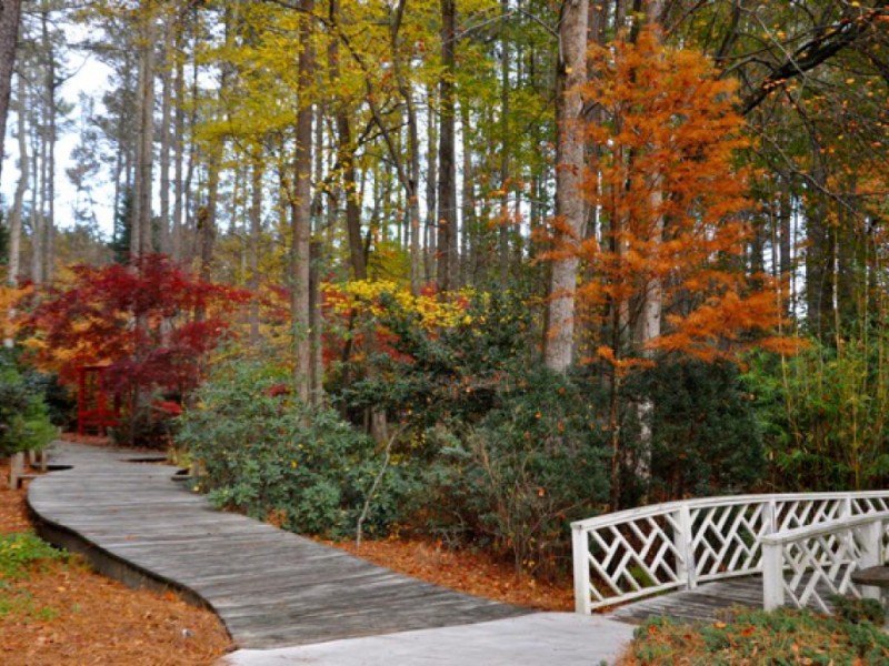 Vines Gardens in Loganville Reopens to the Public Loganville, GA Patch