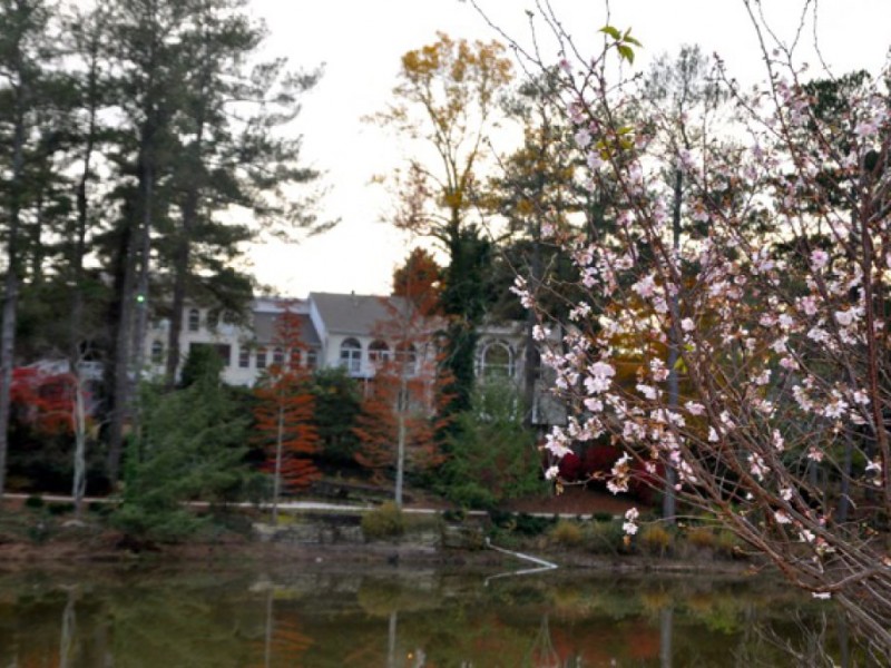 Vines Gardens in Loganville Reopens to the Public Loganville, GA Patch