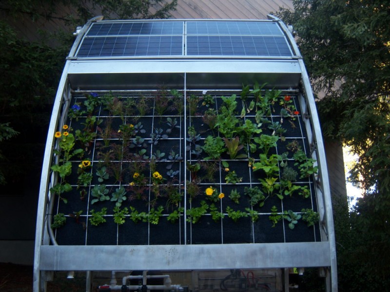 aquaponic solar greenhouse Quotes