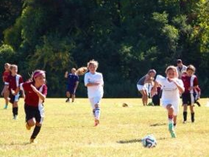 Shoreline FC Premier Soccer club U8 U18 Boys & Girls Try outs