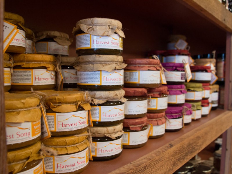 Exploring The Cheese Cave Rumson, NJ Patch