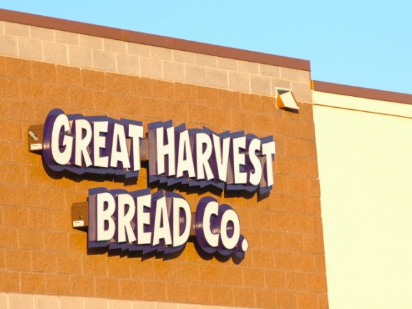 bread harvest co