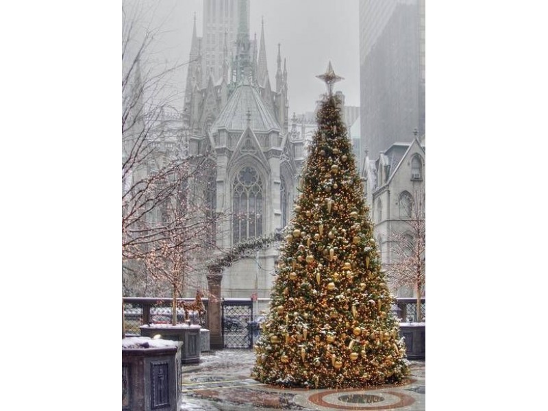 the origin of the christmas tree patch the origin of the christmas tree patch