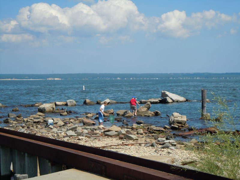 Robins Island Owner to Buy Acre of New Suffolk Waterfront North Fork