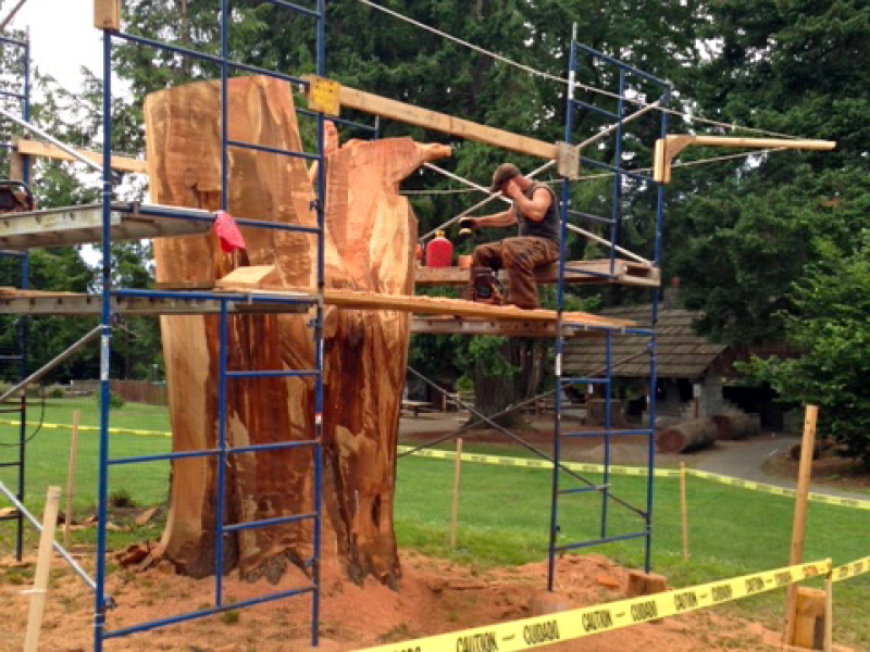 Chainsaw Artist Turning Crescent Creek Park Stump Into Masterpiece
