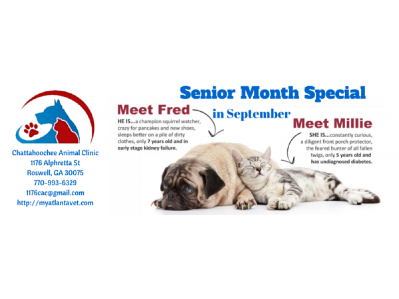 September is Senior Wellness at CAC!  Roswell, GA Patch