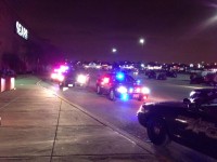 Chicago Ridge Mall Fight Videos Show Teens and Shoppers Fleeing For Exit Doors