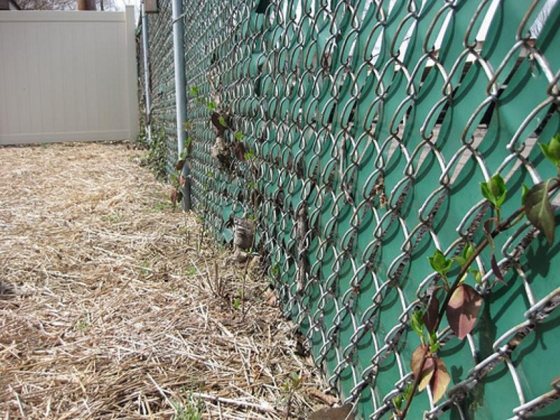 State Law Has Rules For 'Spite Fences' Norwalk, CT Patch