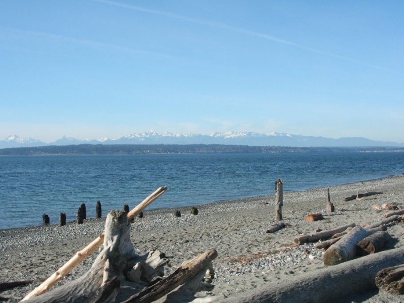 Lowtide Beach Walks at Richmond Beach Saltwater Park Shoreline, WA Patch