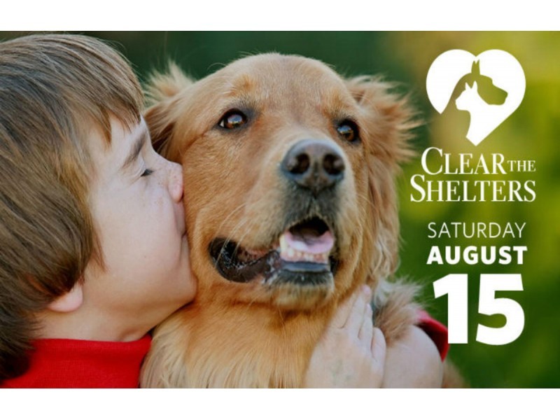 Adoption Fees Waived for 'Clear the Shelter&#039 Saturday