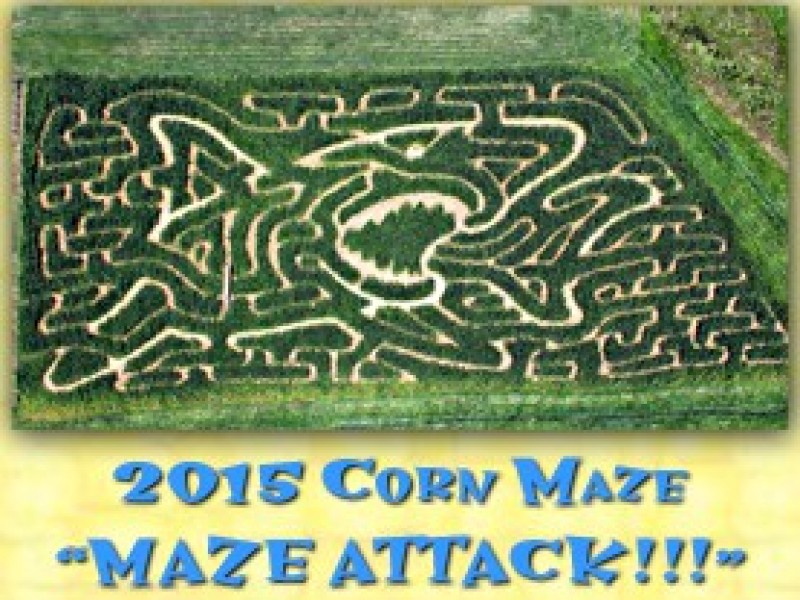 halloween corn maze near me