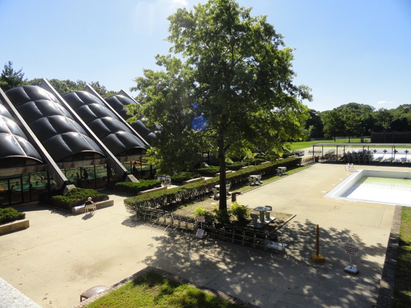 98 Dive Into Fun at Echo Park Malverne, NY Patch