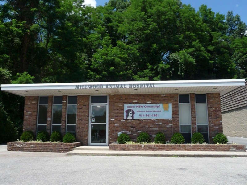 New Mom & Pop Owners Revamp Millwood Animal Hospital Chappaqua, NY Patch