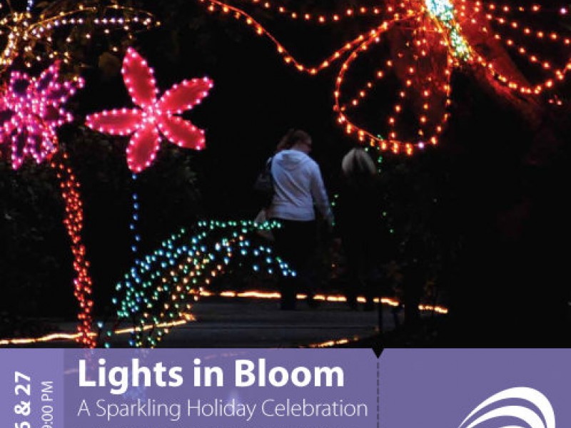holiday lights bloom at selby gardens sarasota fl patch holiday lights bloom at selby gardens sarasota fl patch