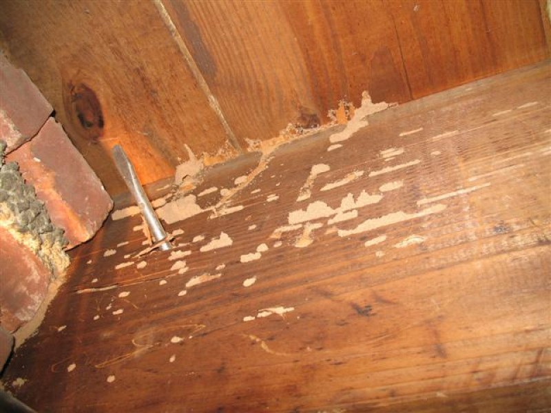 Home Remedies For Termites How To Remove Termites From Wood Furniture