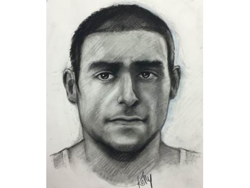 Police Release Sketch Of Possible Suspect In Carjacking