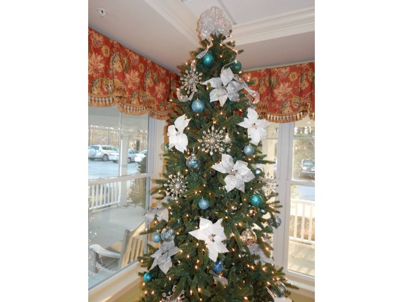 when is curbside christmas tree pickup in framingham when is curbside christmas tree pickup in framingham
