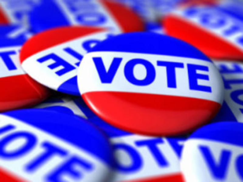 Durham's Sample Ballots for Nov. 4 Election Patch