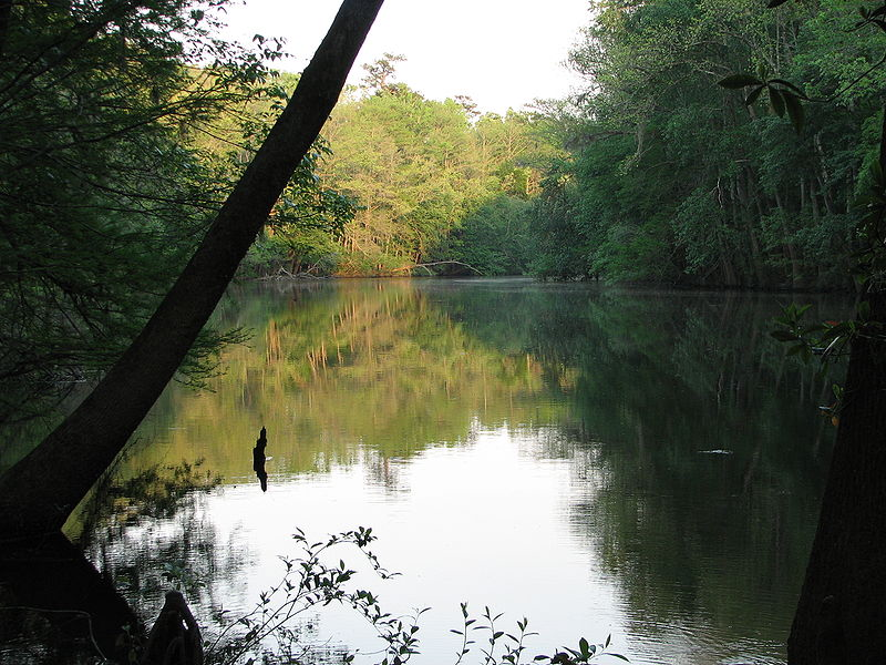Congaree National Park Dogs, Fishing in Weston Lake Allowed Columbia