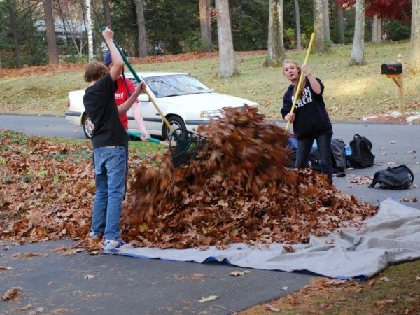 curbside-leaf-pickup-begins-soon-wallingford-ct-patch