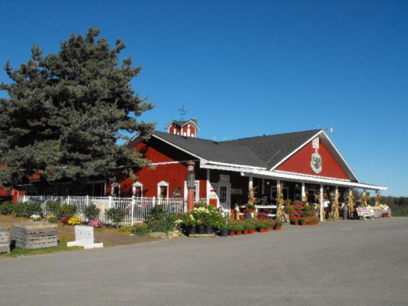 Find Apple Orchards, Cider Mills Near White Lake, Highland White Lake