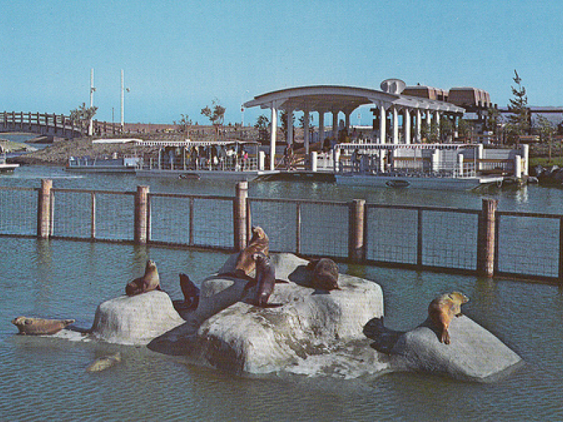 Marine World/Africa USA Redwood City, CA Patch