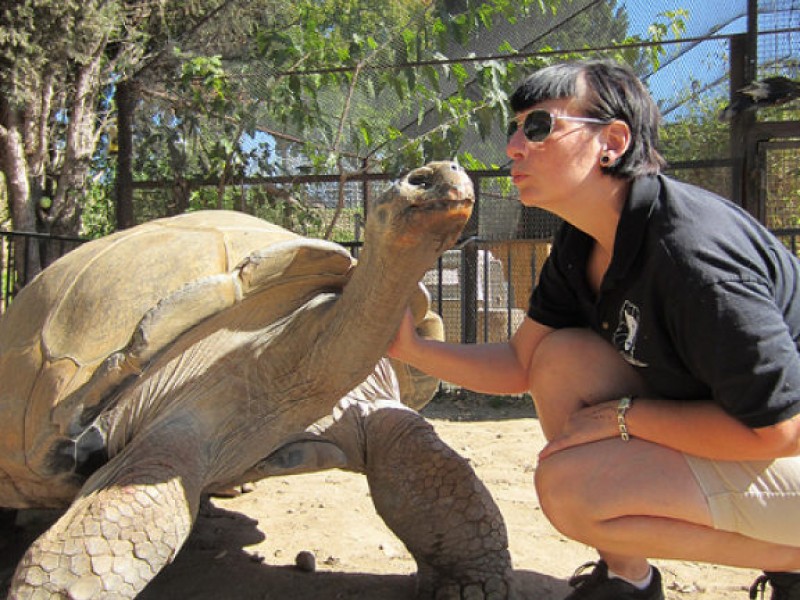 23rd Annual Spring Spectacular at America's Teaching Zoo at Moorpark