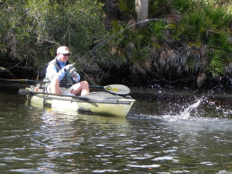 Tampa Bay Area a Kayak Fisher's Heaven New Port Richey, FL Patch
