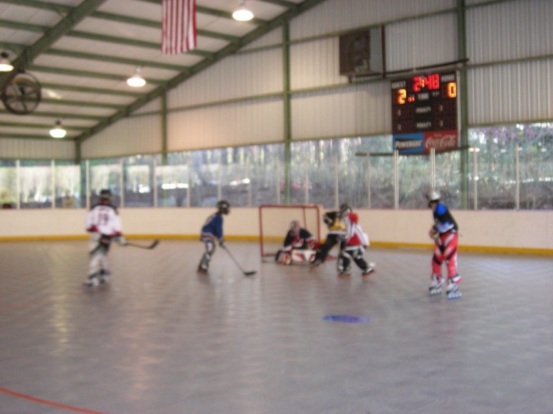 Roller Hockey Enthusiasts Join to Save Alpharetta's Union Hill Park