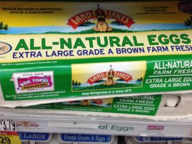 The Cost of Local Eggs You Get What You Pay For Exeter, NH Patch