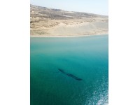 Unusually Clear Water Offers Glimpse of Lake Michigan Shipwrecks