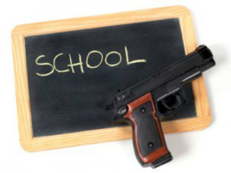 Trustees Want to Opt Out of Possible School Gun Law