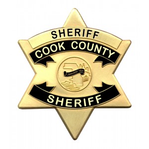 Cook County Sheriff's Officers Stop Man from Jumping from Highway Overpass