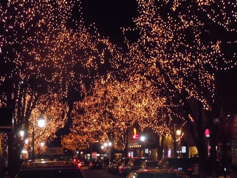 brighten your holiday season with local lights displays brighten your holiday season with local lights displays