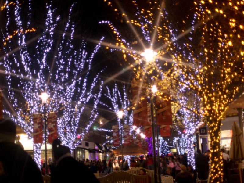partridge creek to kick start holidays with two day tree partridge creek to kick start holidays with two day tree