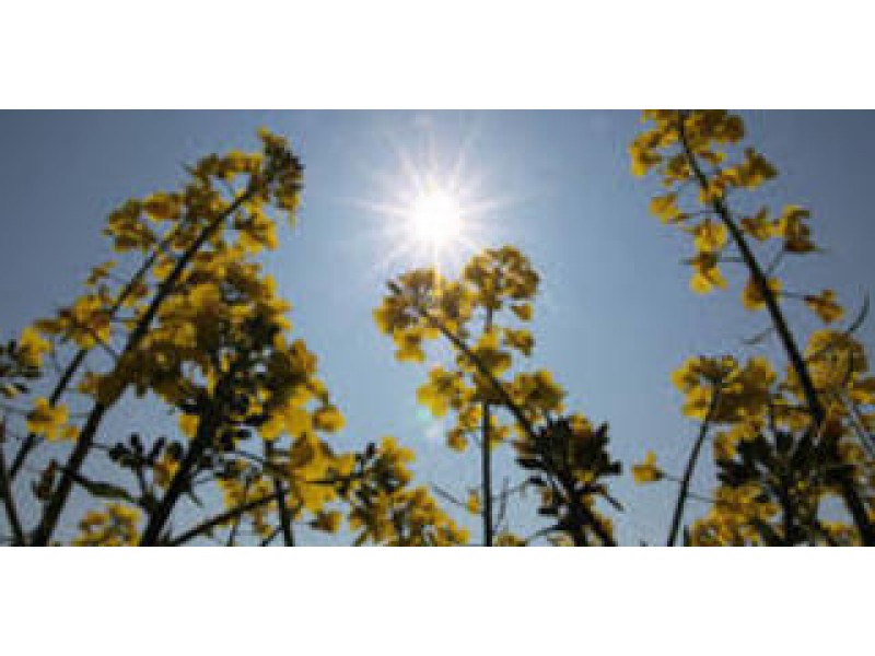 Weather: Warm Start To The Work Week