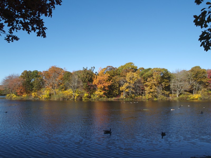 Brady Park Photo Tour Massapequa, NY Patch