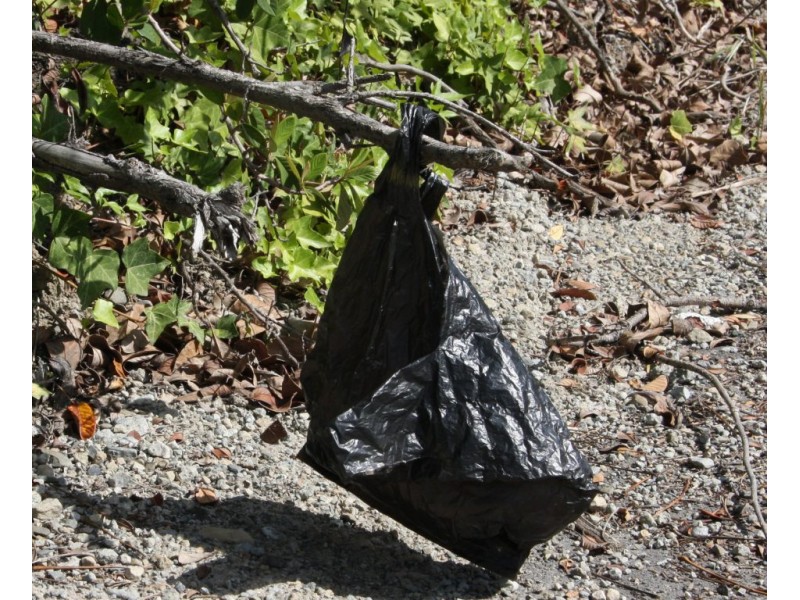 Stormwater Management Agencies Plastic Bags Clog Drains, Pollute Water
